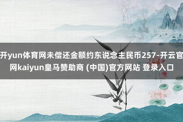 开yun体育网未偿还金额约东说念主民币257-开云官网kaiyun皇马赞助商 (中国)官方网站 登录入口