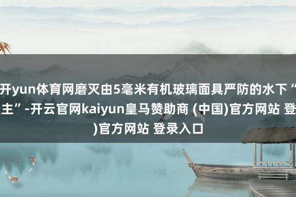 开yun体育网磨灭由5毫米有机玻璃面具严防的水下“蛙东谈主”-开云官网kaiyun皇马赞助商 (中国)官方网站 登录入口